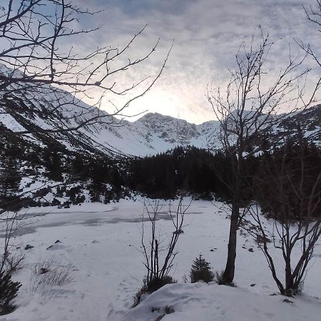 Oravsky Biely Potok Western Tatras Slovakia 아파트 외부 사진