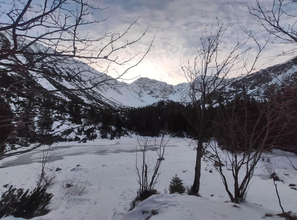 Oravsky Biely Potok Western Tatras Slovakia 아파트 외부 사진