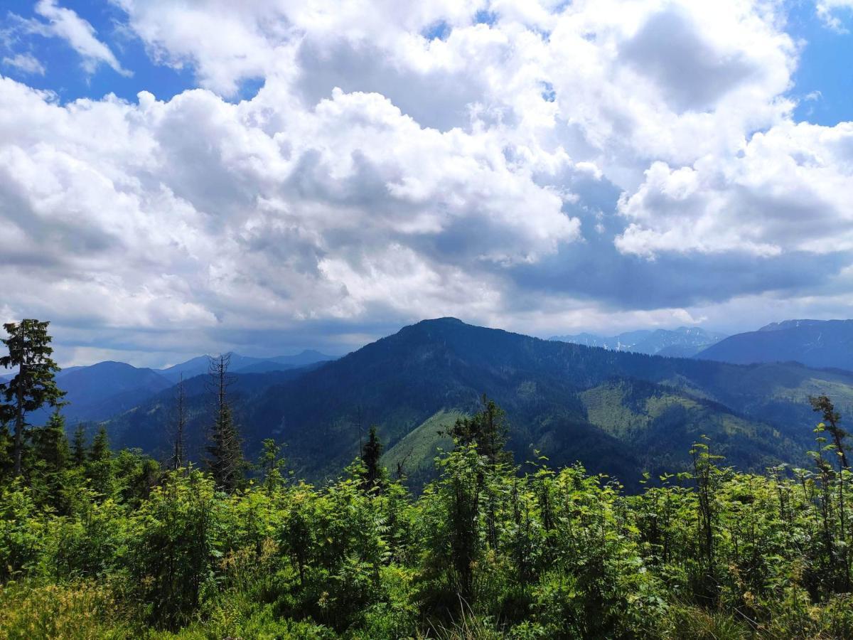Western Tatras Slovakia Oravsky Biely Potok 외부 사진